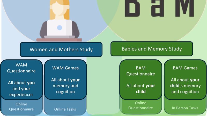 Graphic illustrating study information also available in text