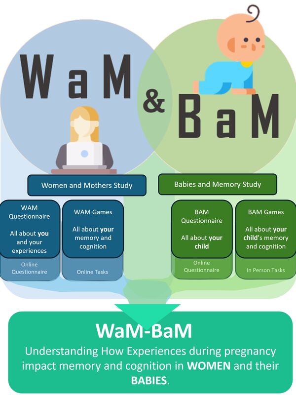 Graphic illustrating study information also available in text